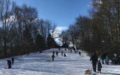 Worte zum Jahresabschluss