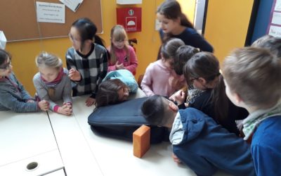 Weihnachten ist in Gefahr! – Escape room Spiel am Surenland