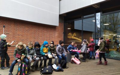 Quiz dich durchs zoologische Museum