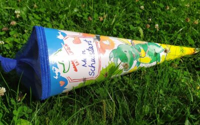 Informationen zu den weiterführenden Schulen