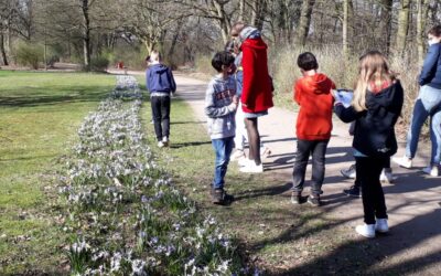 Frühlingsspaziergang