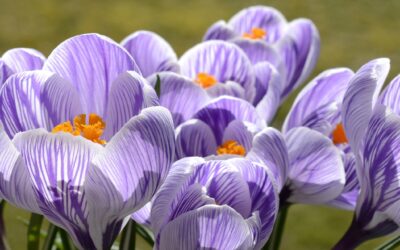 Informationen zum Schulstart