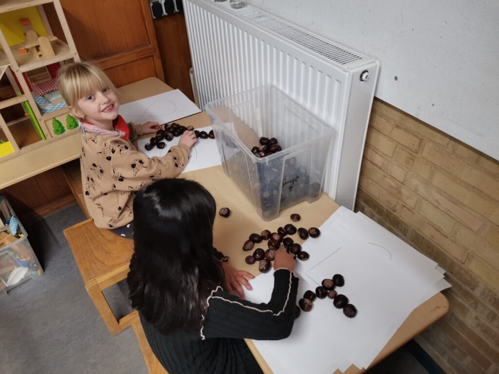 Bild5