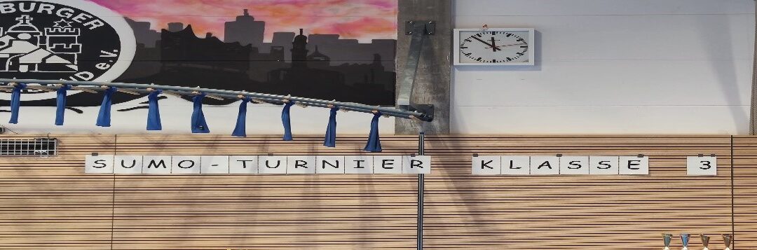 Hamburger Sumoturnier für die Klassenstufen 3