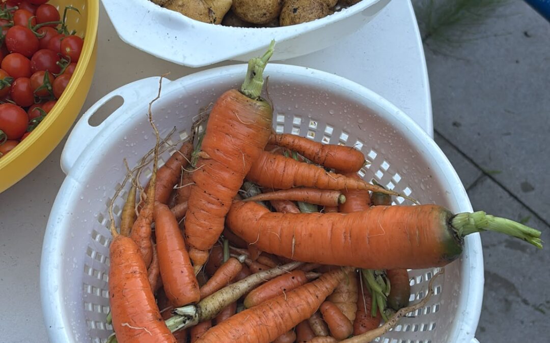 Ein buntes Gartenjahr